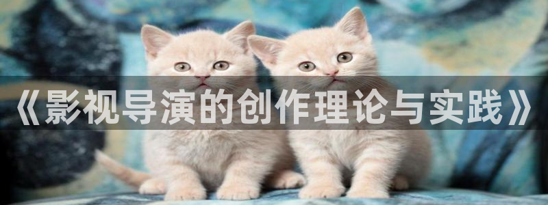 飞极速樱花影院